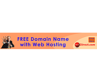411 Web Hosting